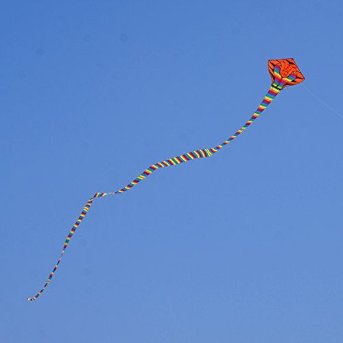 Besra Large Cobra Snake Kite 52ft Colorful Rattlesnake Kite with 15m Long Tails Outdoor Fun Sports with Flying Tools (Rainbow) - Image 5