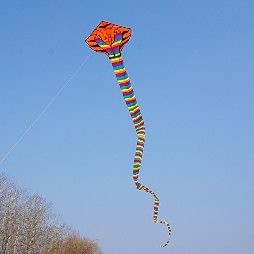 Besra Large Cobra Snake Kite 52ft Colorful Rattlesnake Kite with 15m Long Tails Outdoor Fun Sports with Flying Tools (Rainbow) - Image 4