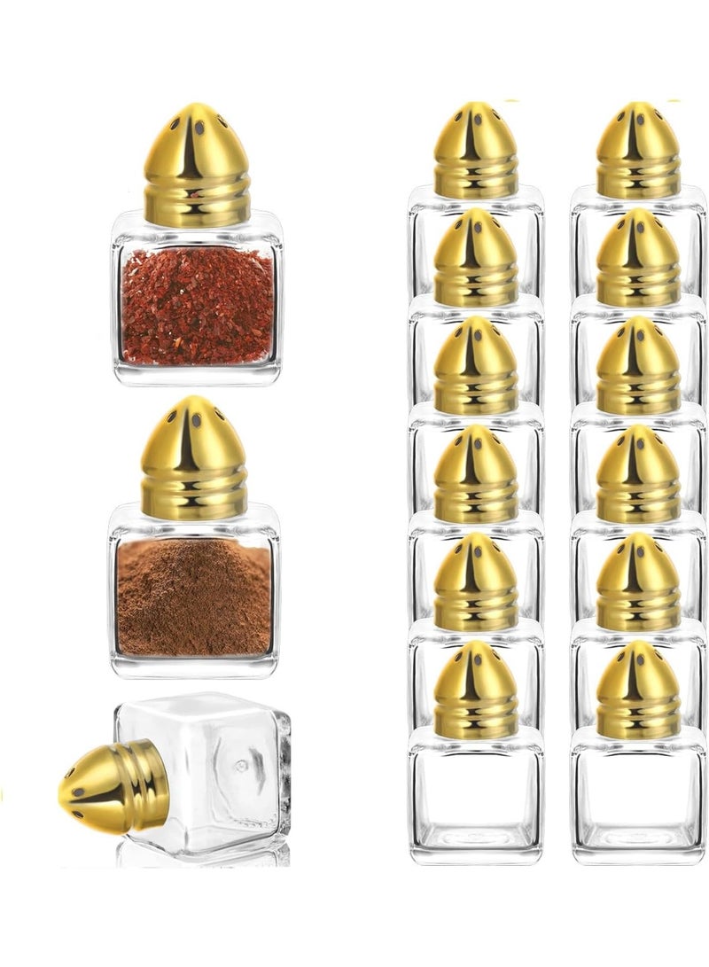 TYCOM Castor Salt and Pepper Shakers 24 packs Pocket Condiment Bottle Individual Seasonings Shakers Salt Container Holder Seasoning Holders Glass Pepper Jar Spice Jars Golden lids - Image 1