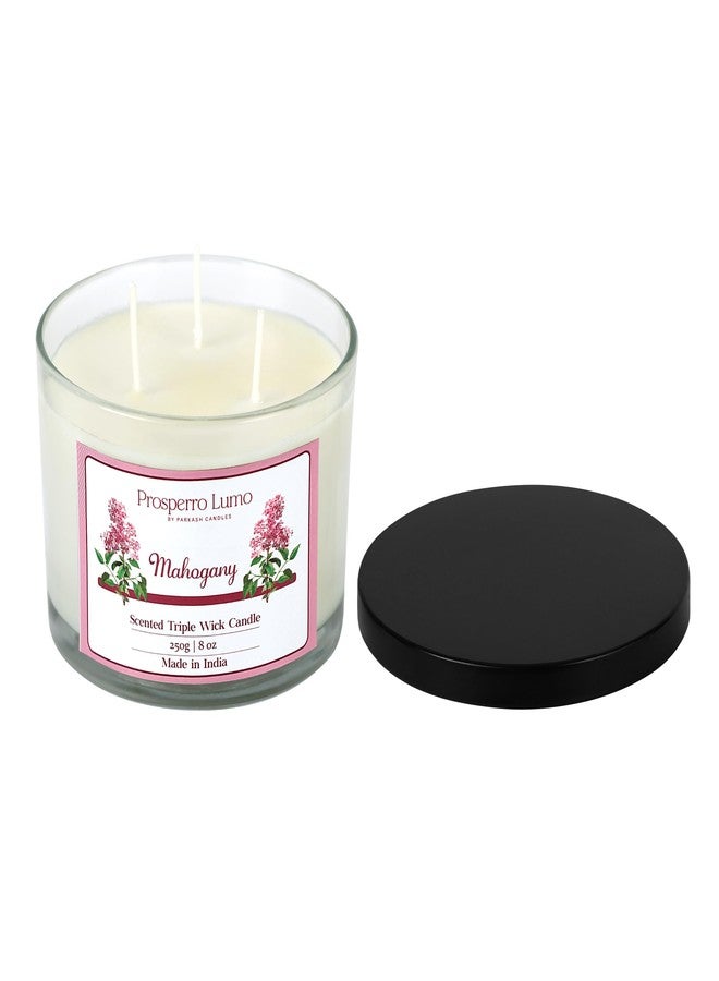 PROSPERRO LUMO by Parkash Candles || 3 Wick Soy Wax Scented Candle | 35 Hours Burn Time | Long Lasting Premium Candles | Ideal for Home Décor, Gifting & Aromatherapy (Mahogany) - Image 4
