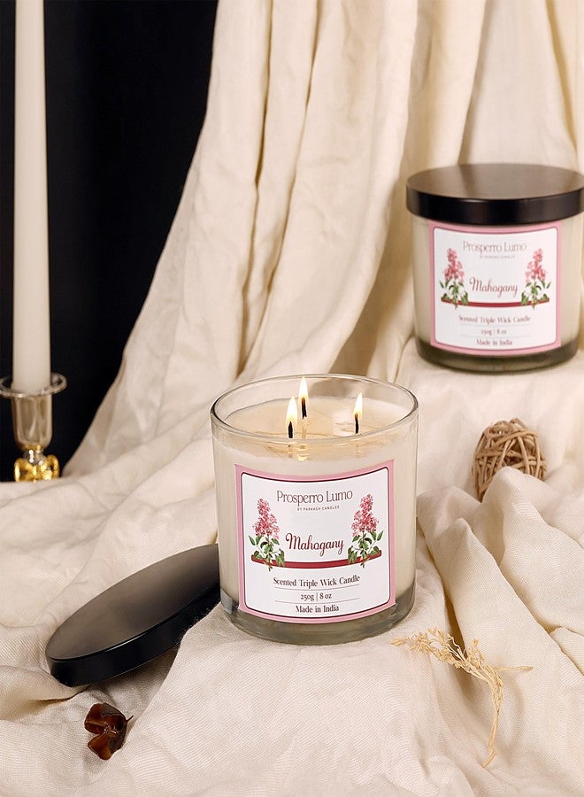 PROSPERRO LUMO by Parkash Candles || 3 Wick Soy Wax Scented Candle | 35 Hours Burn Time | Long Lasting Premium Candles | Ideal for Home Décor, Gifting & Aromatherapy (Mahogany) - Image 1