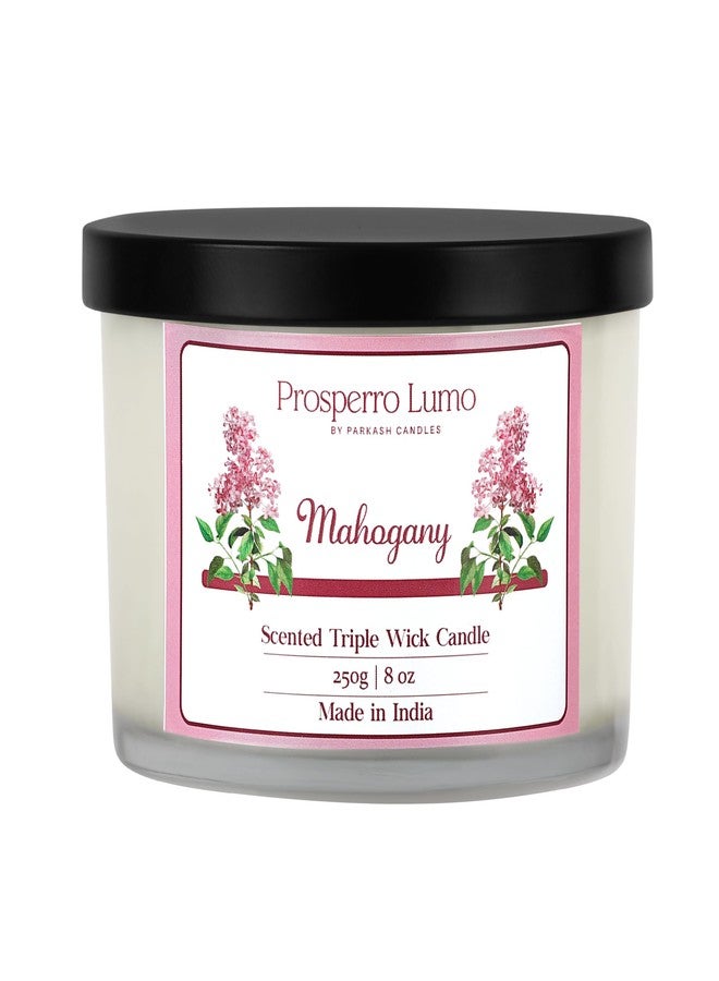 PROSPERRO LUMO by Parkash Candles || 3 Wick Soy Wax Scented Candle | 35 Hours Burn Time | Long Lasting Premium Candles | Ideal for Home Décor, Gifting & Aromatherapy (Mahogany) - Image 2