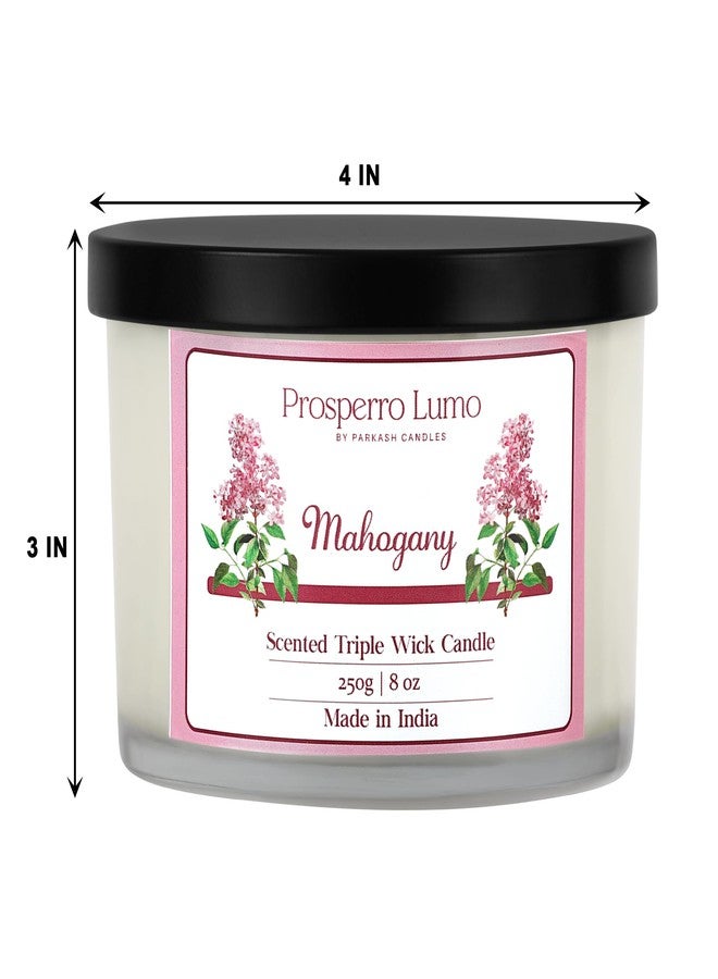 PROSPERRO LUMO by Parkash Candles || 3 Wick Soy Wax Scented Candle | 35 Hours Burn Time | Long Lasting Premium Candles | Ideal for Home Décor, Gifting & Aromatherapy (Mahogany) - Image 3
