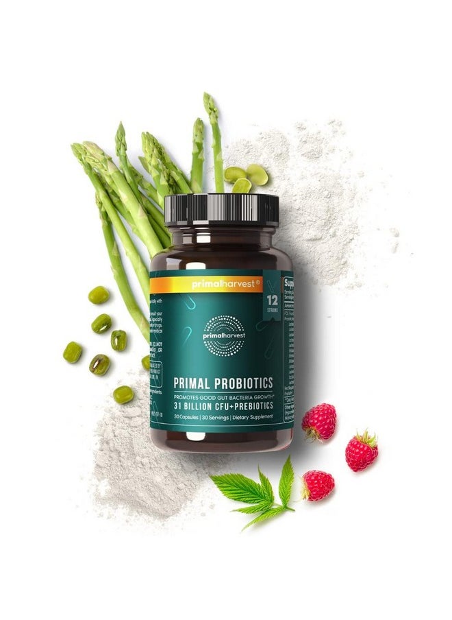 Primal Harvest - Prebiotics And Probiotics For Women & Men Primal Probiotics 30 Oral Probiotics Capsules For Gut Health 12 Dynamic Strains Probiotics For Women - Image 1