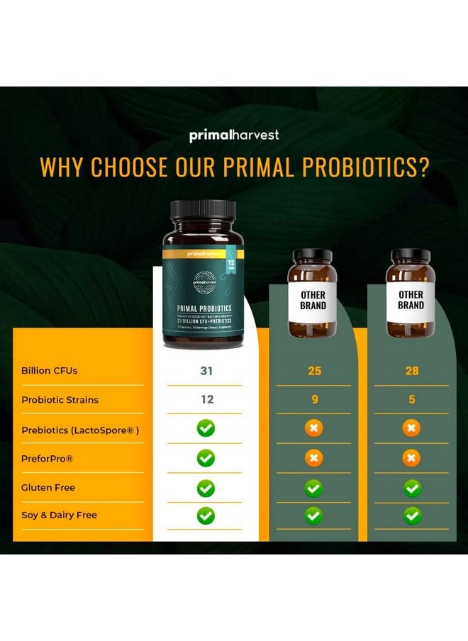 Primal Harvest - Prebiotics And Probiotics For Women & Men Primal Probiotics 30 Oral Probiotics Capsules For Gut Health 12 Dynamic Strains Probiotics For Women - Image 1