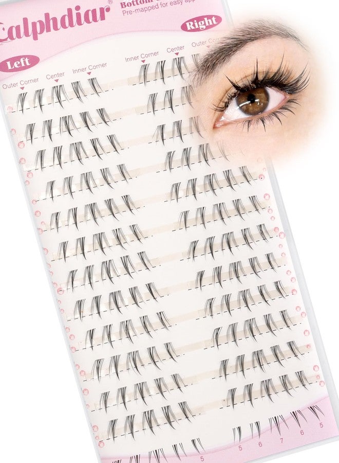 Calphdiar Bottom Lashes Naturtal 5-7MM Bottom Eyelash Clusters Clear Band Lower Individual Lashe CC Curl Cluster Eyelash Extensions Pre-Mapped Lash Clusters for Everyday Looks Easy to Use - Image 1