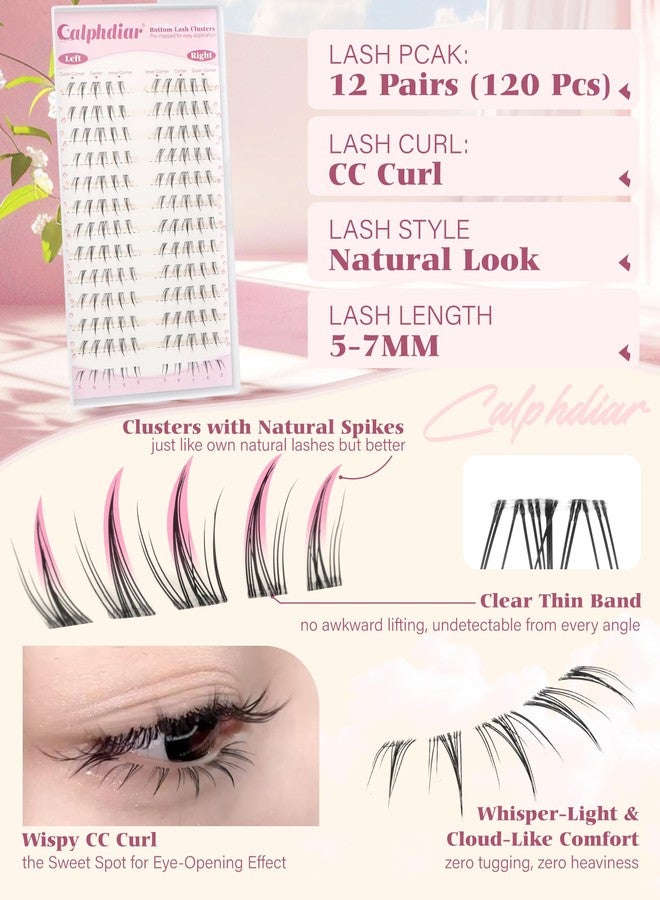 Calphdiar Bottom Lashes Naturtal 5-7MM Bottom Eyelash Clusters Clear Band Lower Individual Lashe CC Curl Cluster Eyelash Extensions Pre-Mapped Lash Clusters for Everyday Looks Easy to Use - Image 5