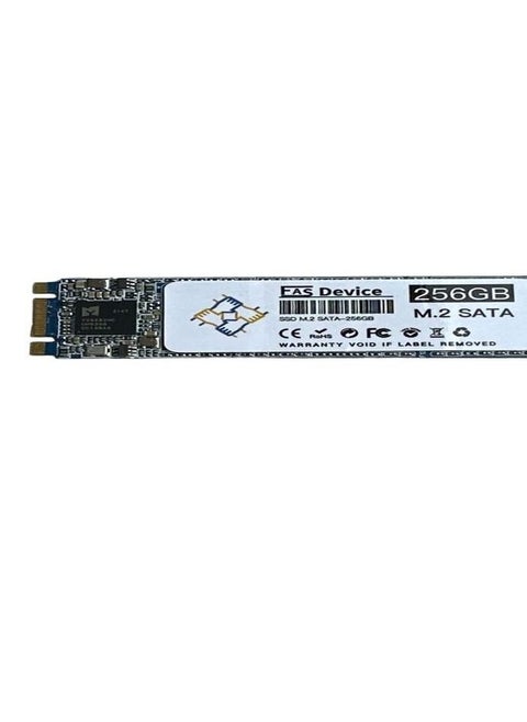 EAS محرك أقراص SSD ساتايي M.2 2280 256 جيجابايت
