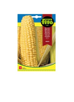 Fito Fito Semillas Sweet Jubilee Corn Seeds  - Image 3