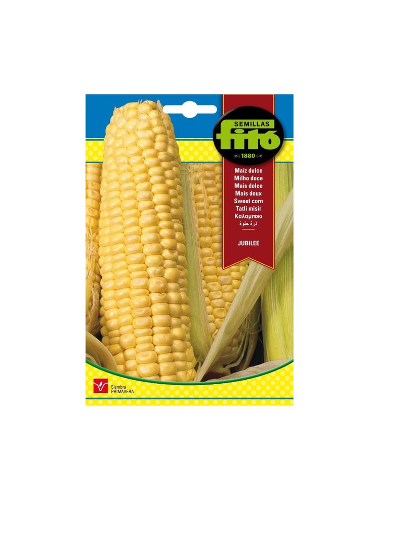 Fito Fito Semillas Sweet Jubilee Corn Seeds  - Image 1