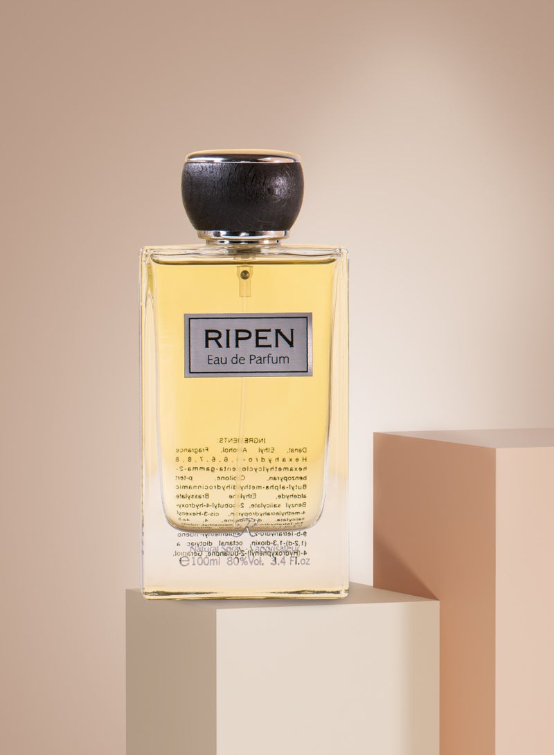 بييرا كاترا عطر ريبين للرجال او دي بارفان 100مل - Image 2