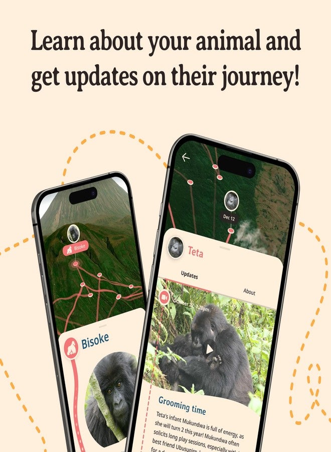 Fahlo Gorilla Tracking Bracelet – Track a Real Gorilla’s Journey – Supports Wildlife Conservation – Elastic, One Size Fits Most – on Interactive Mobile App Map – Unisex Conservation Gift (Rainforest Green) - Image 5