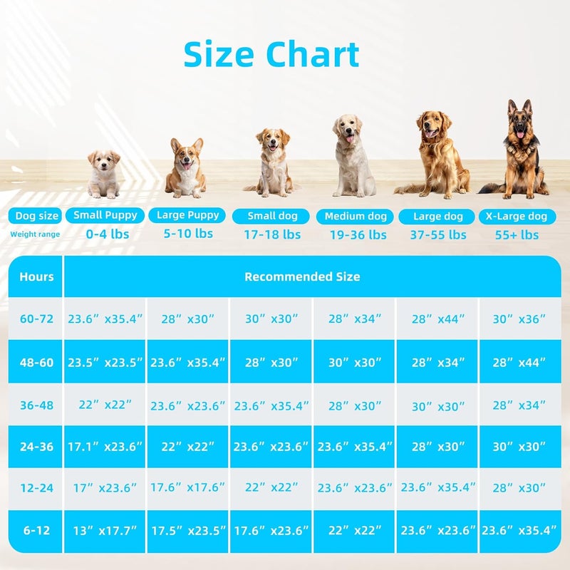 FluffyDream وسادة تدريب للكلاب والجروه من FluffyDream عالية الامتصاص ومقاومة للماء، مخصصة لتدريبهم على استخدام المرحاض، عدد 40 قطعة، مقاس متوسط، أبعاد 30 بوصة × 30 بوصة، لون أزرق - Image 2