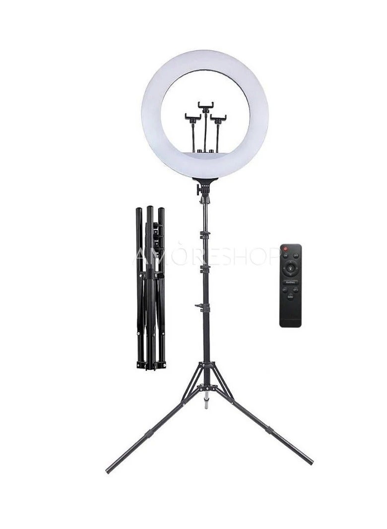RL21 Inch Ring Light Tripod LED Soft Ring Light with Remote Control - Image 4