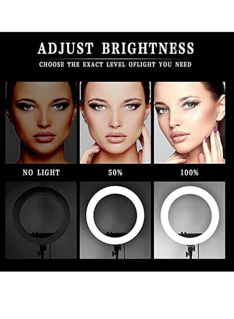 RL21 Inch Ring Light Tripod LED Soft Ring Light with Remote Control - Image 3