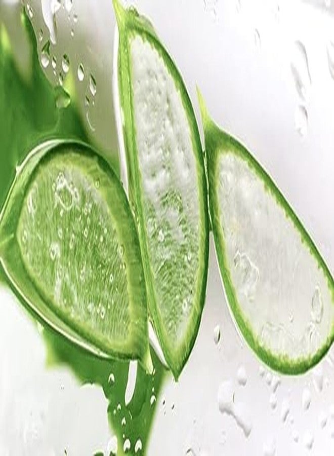Dermasil Labs Dry Skin Treatment, 8 fl oz (Aloe Fresh (Pack of 1) - Image 4