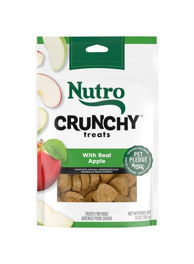 نوترو مكافآت الكلاب المقرمشة من نوترو بنكهة التفاح الحقيقي، كيس ١٠ أونصات - Image 1