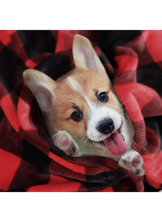 PICCOCASA PiccoCasa Pet Dog Blanket, Flannel Fleece Puppy Blanket Plaid Plush Warm Rug Blankets for Small-Medium Dogs Cats Sleeping Mat, 30 x 40 Inches, Scarlet+Black  - Image 2
