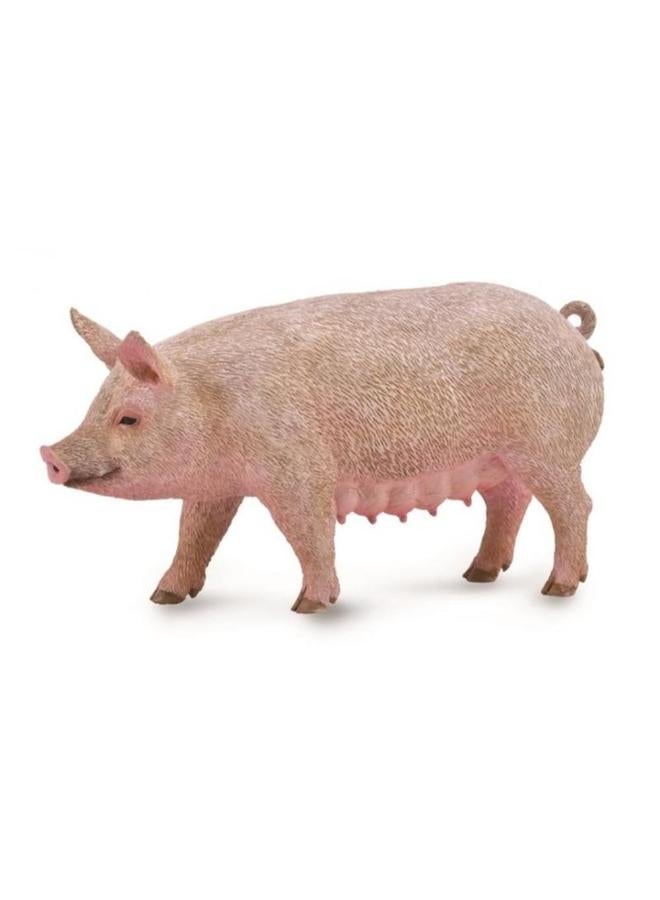 CollectA Sow Figurine