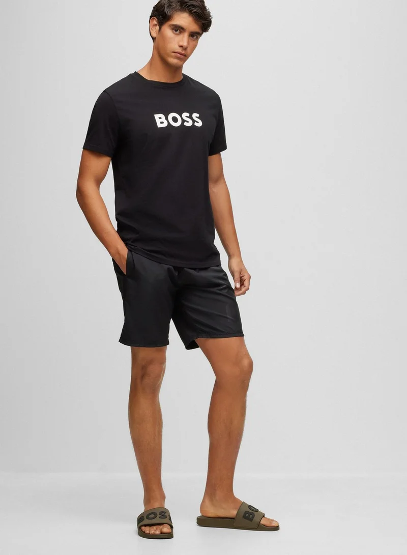 BOSS Logo Slides