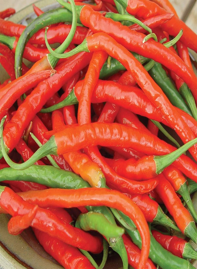 GGOOT Long Slim Cayenne Pepper - Capsicum annuum Vegetable Seeds, Hot Chilli Pepper, Approx. 1300 Seeds Home Garden Planting by Heavy Torch, 10 Grams