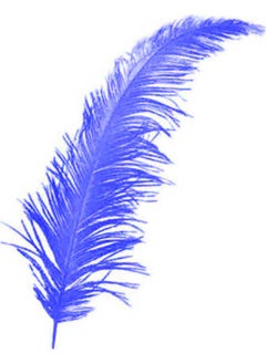 Feather 100 Pieces Decorative Feather Navy Blue 12 cm - pzsku/Z2FF59AE1FCBB034DDE83Z/45/_/1741272108/82c3613e-86fc-4843-b0ce-aa6594f3df0e