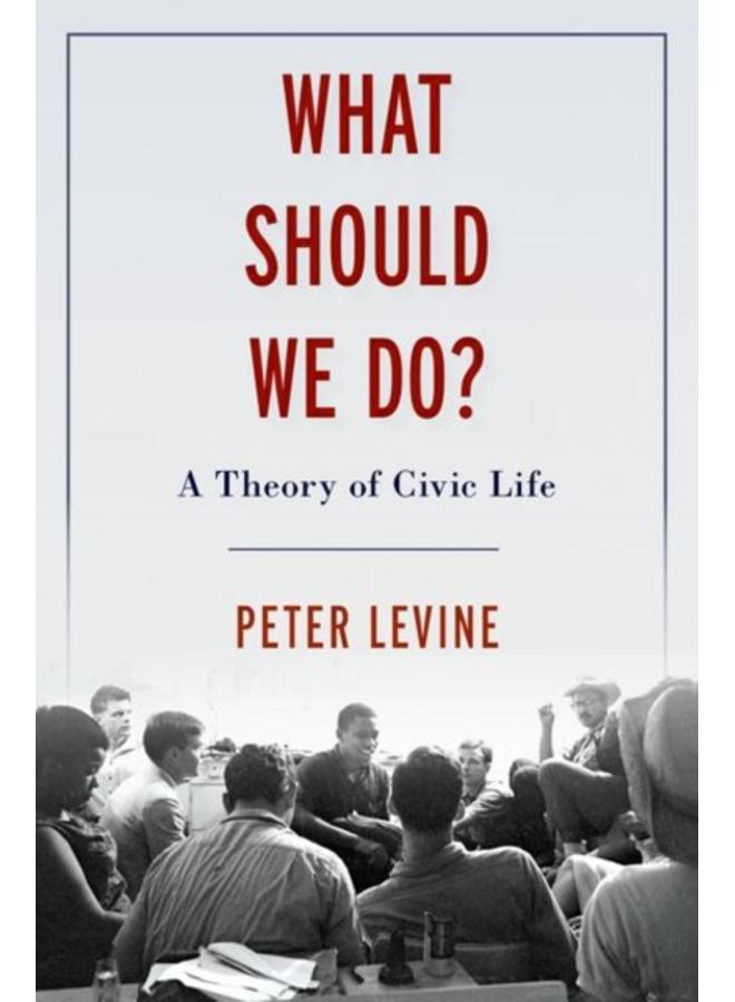 What Should We Do? : A Theory of Civic Life