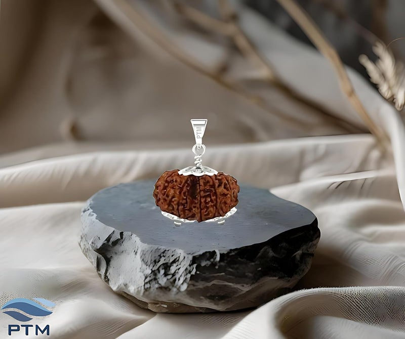 PTM Natural Certified 1/2/3/4/5/6/7/8/9/10/11/Ganesh/Gaurishankar mukhi Astrological Original Nepali Rudraksha 925 BIS Hallmark Sterling Silver Pendant for Men & Women - Image 2