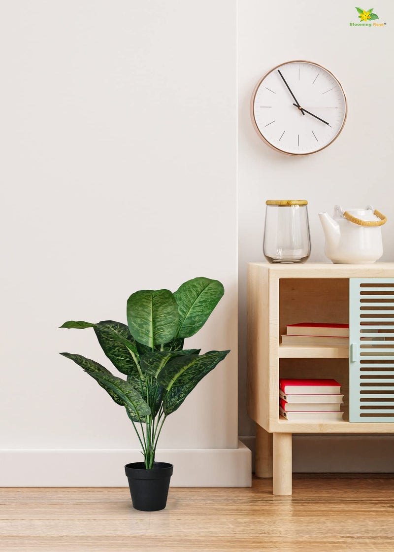 Blooming Floret Artificial Dieffenbachia Plant with Basic Black Pot| Ornamental Plant for Interior Decor/Home Decor/Office Decor | 12 Leaves | 63.5 cm Short Indoor Tropical | Durable - Image 2