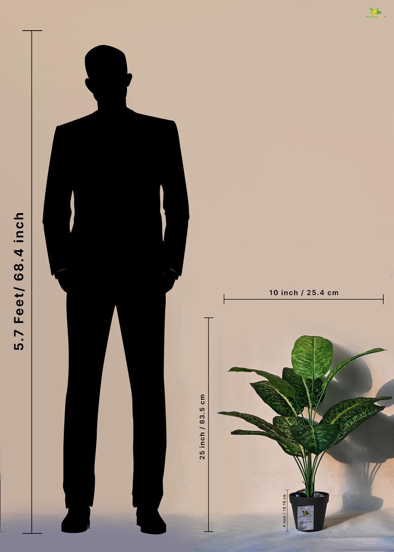 Blooming Floret Artificial Dieffenbachia Plant with Basic Black Pot| Ornamental Plant for Interior Decor/Home Decor/Office Decor | 12 Leaves | 63.5 cm Short Indoor Tropical | Durable - Image 5