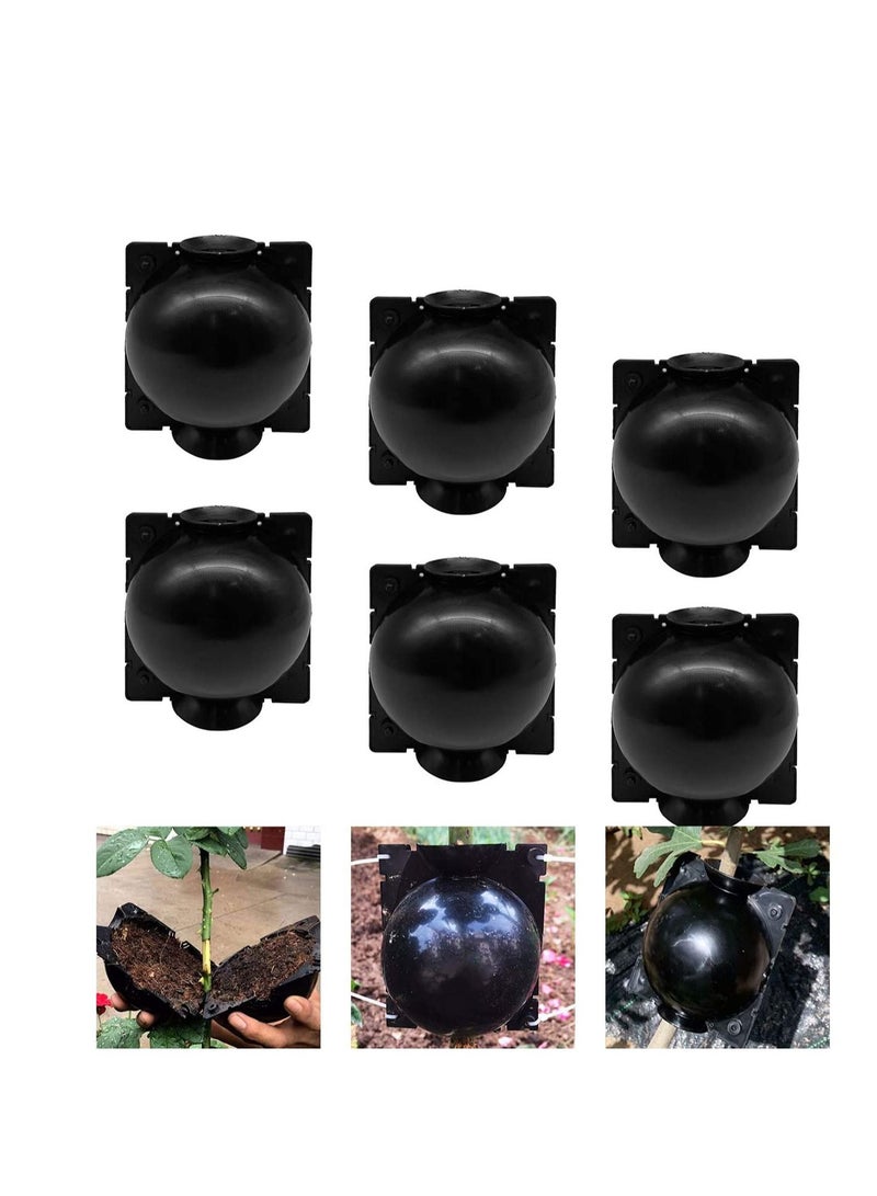 واي آند دي Plant Root Growing Box Grafting Device 6Pcs, High Pressure Propagation Ball Box, Assisted Cutting Plants Rooting Breeding for Reproduction Equipment (M) - Image 1