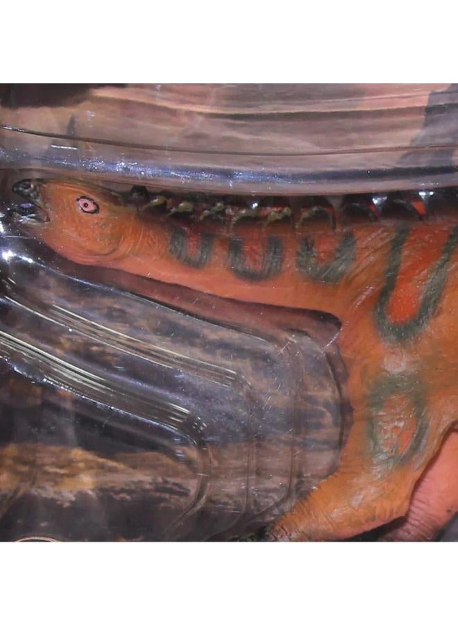 Model Dinosaur – Dacentrurus Figurine - Image 3