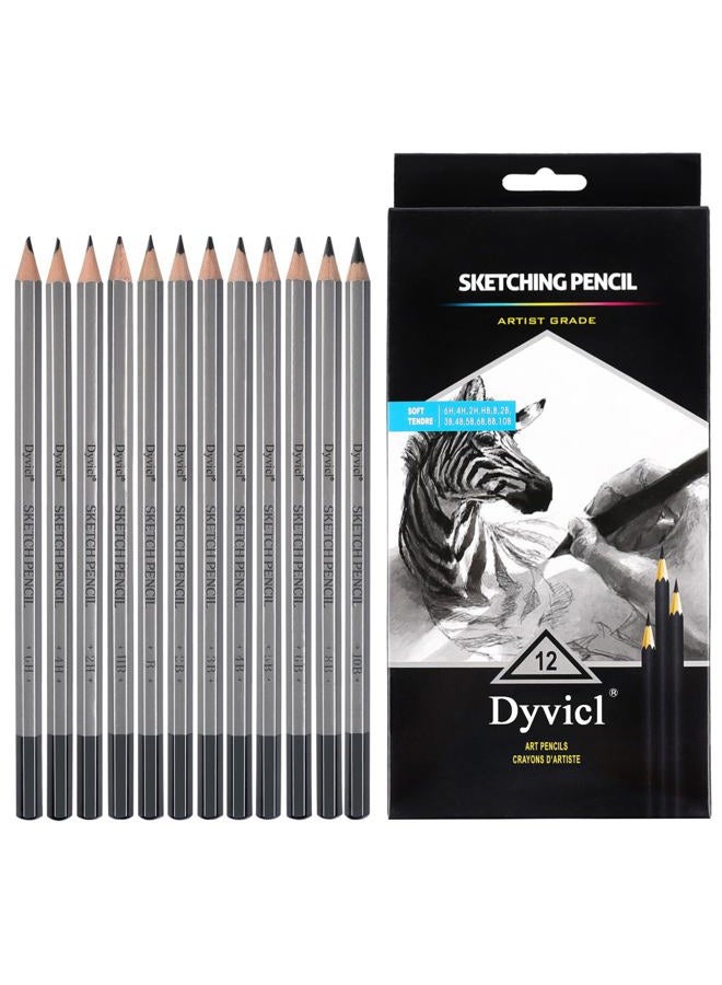 Dyvicl مجموعة أقلام الرسم والتخطيط الاحترافية - 12 قطعة من أقلام الرسم 10B، 8B، 6B، 5B، 4B، 3B، 2B، B، HB، 2H، 4H، 6H من الجرافيت للمبتدئين والفنانين المحترفين - Image 1