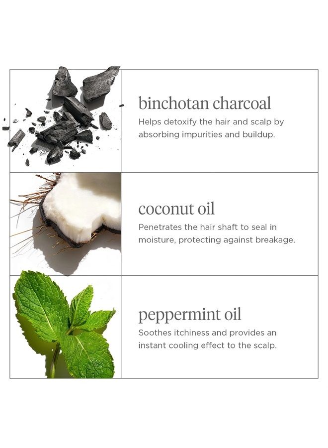 Briogeo شامبو تقشير فروة الرأس بالفحم + زيت جوز الهند | علاج تقشير فروة الرأس لتهدئة فروة رأس جافة وقشرية وحكة | نباتي، خالي من الفثالات والبارابين | 8 أونصات - Image 2