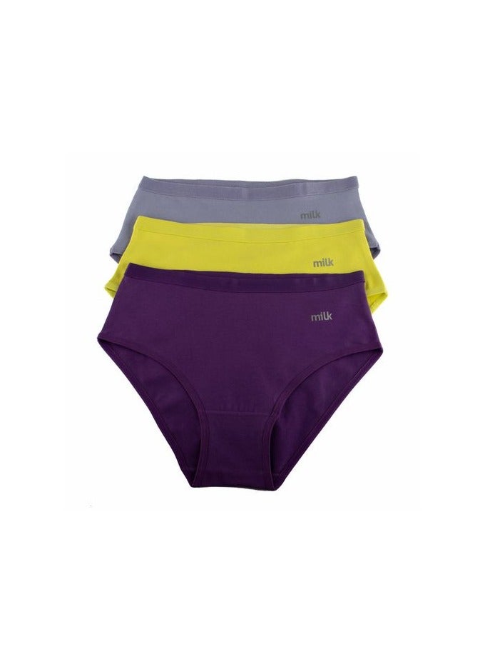 Basics® Women Briefs Bundle of 3 Basic Colored Briefs