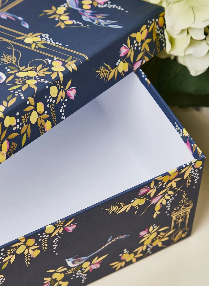 بيلي بوتون صندوق هدايا كبير