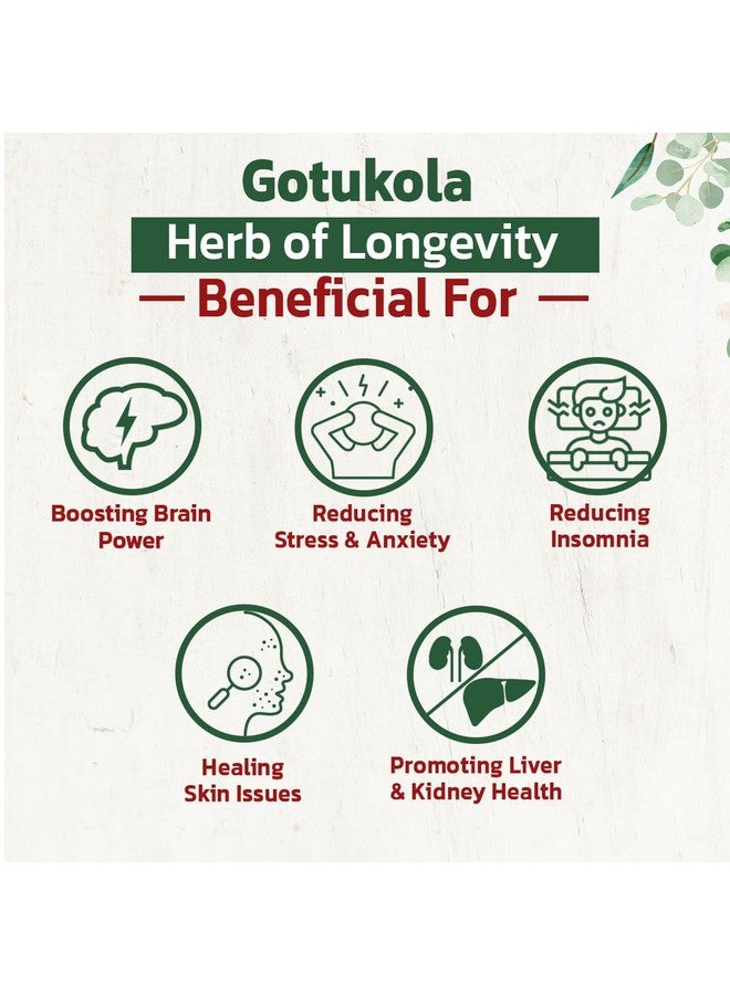 Heilen Biopharm Gotu Kola Powder For Skin Improvement - 200 g Pack of 1 - Image 5