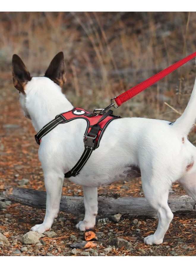 Joytale - Joytale Double-Sided Reflective Dog Leash, 6 FT/5 FT/4 FT, Padded Handle Nylon Dogs Leashes for Small & Medium Dogs Walking, Red, 4FT - Image 1