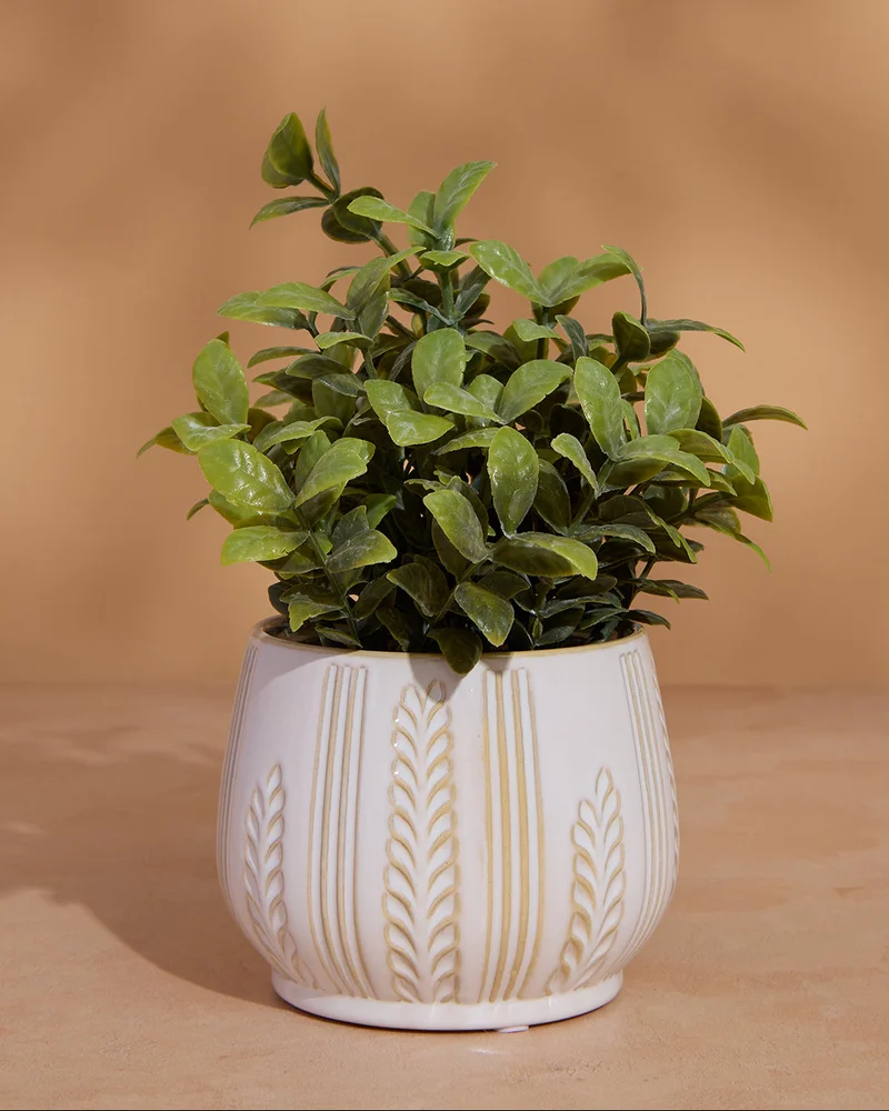 Redtag Beige Artificial Plants in Ceramic Planter – 25cm