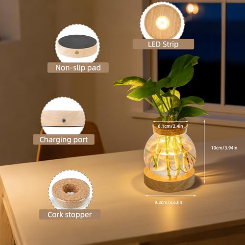 Everkeen Plant Propagation Station with Wooden Saucer, Glass Terrarium with Stepless Dimming Function Hydroponic Glass Container Vase Jars Gardening Gifts for Mom Women Plant Lovers(2 Pack) - Image 4
