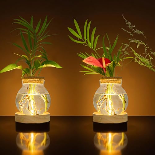 Everkeen Plant Propagation Station with Wooden Saucer, Glass Terrarium with Stepless Dimming Function Hydroponic Glass Container Vase Jars Gardening Gifts for Mom Women Plant Lovers(2 Pack) - Image 1