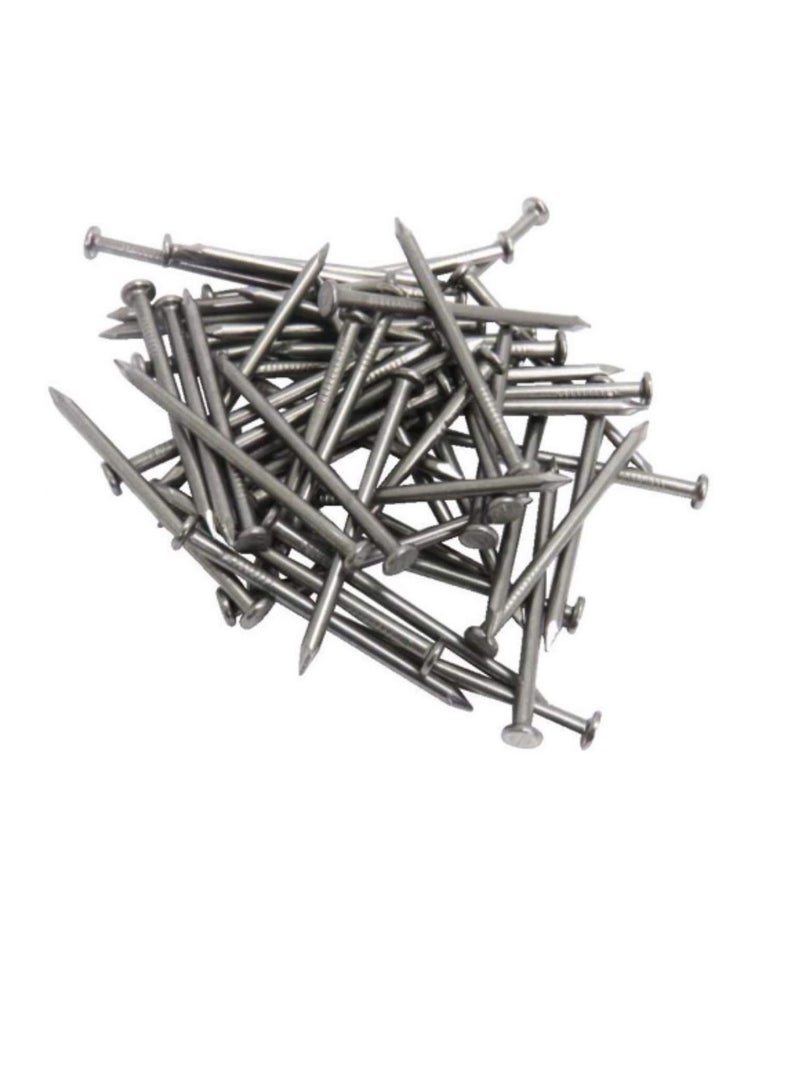 High Strength Round Head Nails For Carpentry Hardware Electrical Etc (75, 1 inch)  - Image 1