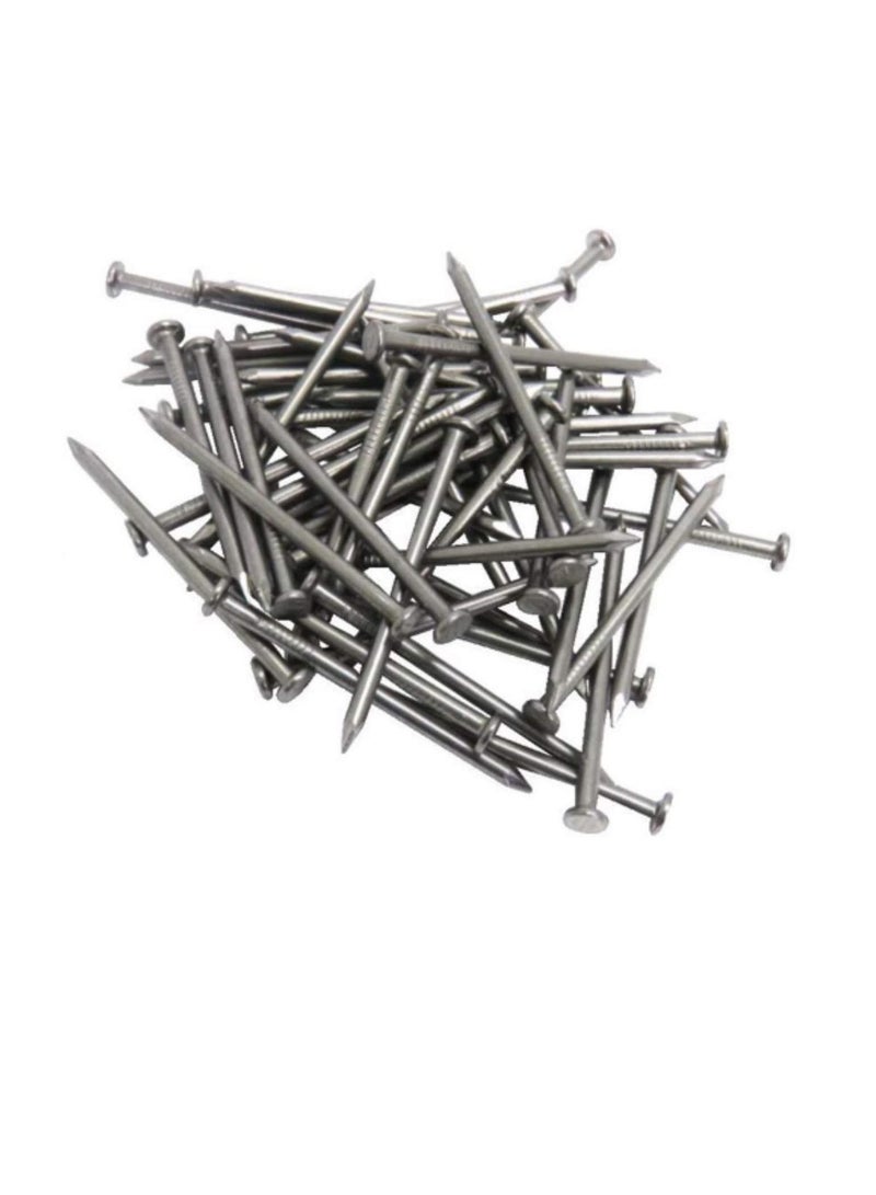 High Strength Round Head Nails For Carpentry Hardware Electrical Etc (75, 1 inch)  - Image 3