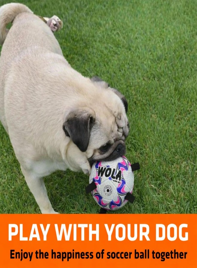 Wasan WOLA Multi Tab Dog Ball for Small/Young Dogs I Suitable for Indoor & Outdoor Play I Interactive Ball with Grab Tabs I Diameter 15 cm, Pump Included - Image 3