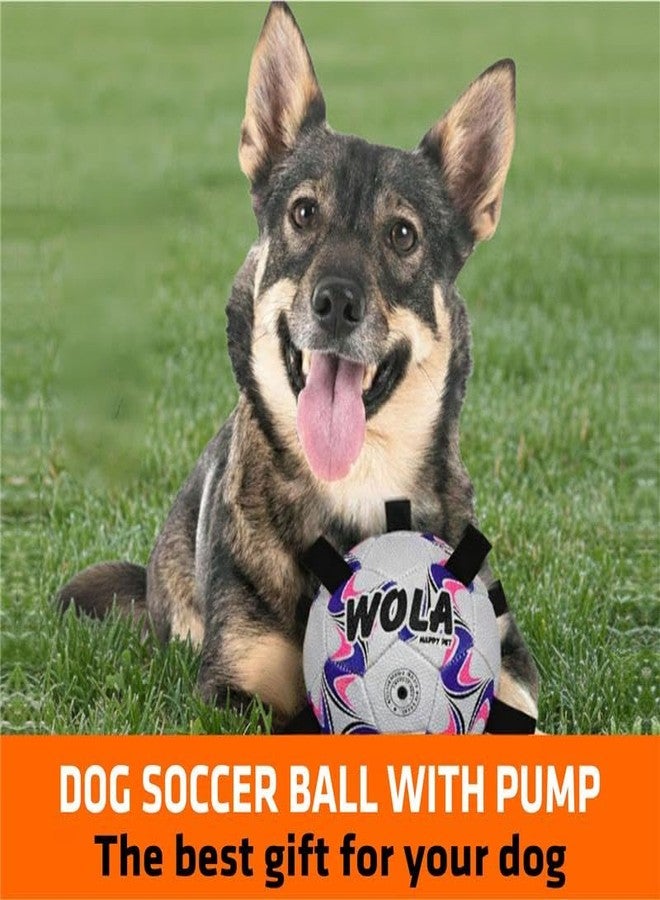 Wasan WOLA Multi Tab Dog Ball for Small/Young Dogs I Suitable for Indoor & Outdoor Play I Interactive Ball with Grab Tabs I Diameter 15 cm, Pump Included - Image 4