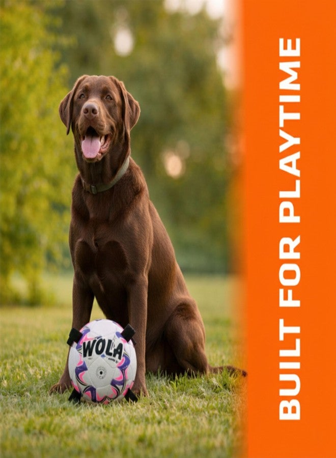 Wasan WOLA Multi Tab Dog Ball for Small/Young Dogs I Suitable for Indoor & Outdoor Play I Interactive Ball with Grab Tabs I Diameter 15 cm, Pump Included - Image 2