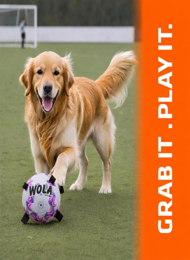 Wasan WOLA Multi Tab Dog Ball for Small/Young Dogs I Suitable for Indoor & Outdoor Play I Interactive Ball with Grab Tabs I Diameter 15 cm, Pump Included - Image 5