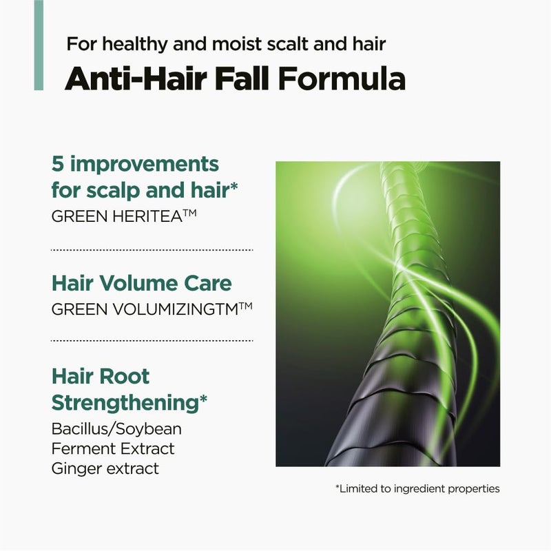 amos PROFESSIONAL شامبو أموس بروفيشينال للشاي الأخضر المنعش للشعر الخفيف، شامبو كوري لفروة الرأس الدهنية، ينظف بعمق، يقوي الشعر، لجميع أنواع الشعر، 16.9 أونصة سائلة - Image 5