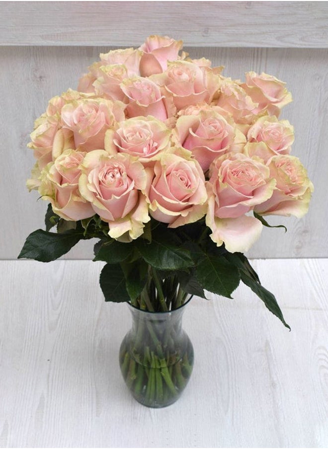 Floral lane Flower Shop Pink Roses in Vase 