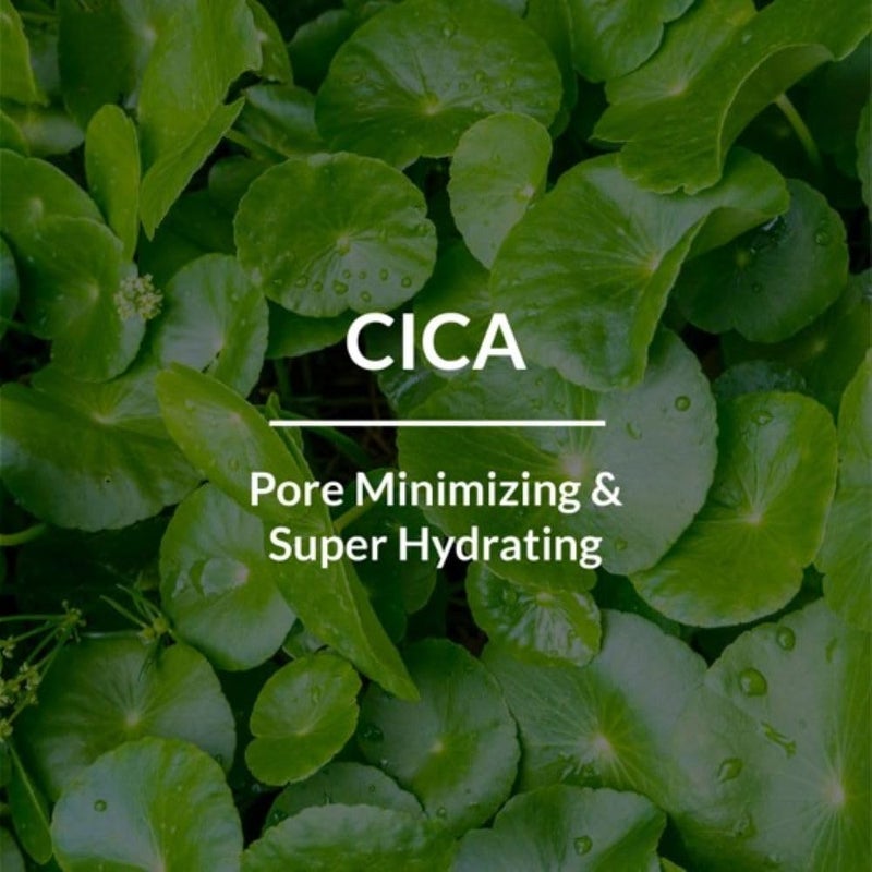 LOTUS BOTANICALS Lotus Botanicals Cica Pore Face gel_50g  Face Toner_50ml  Set of 2  - Image 2